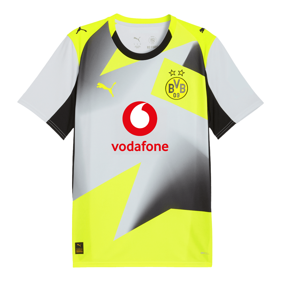 Borussia Dortmund Tröja 2025/26 Borta Grå
