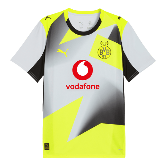 Borussia Dortmund Tröja 2025/26 Borta Grå