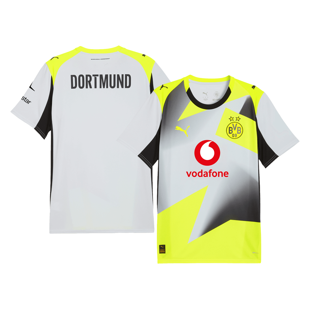 Borussia Dortmund Tröja 2025/26 Borta Grå