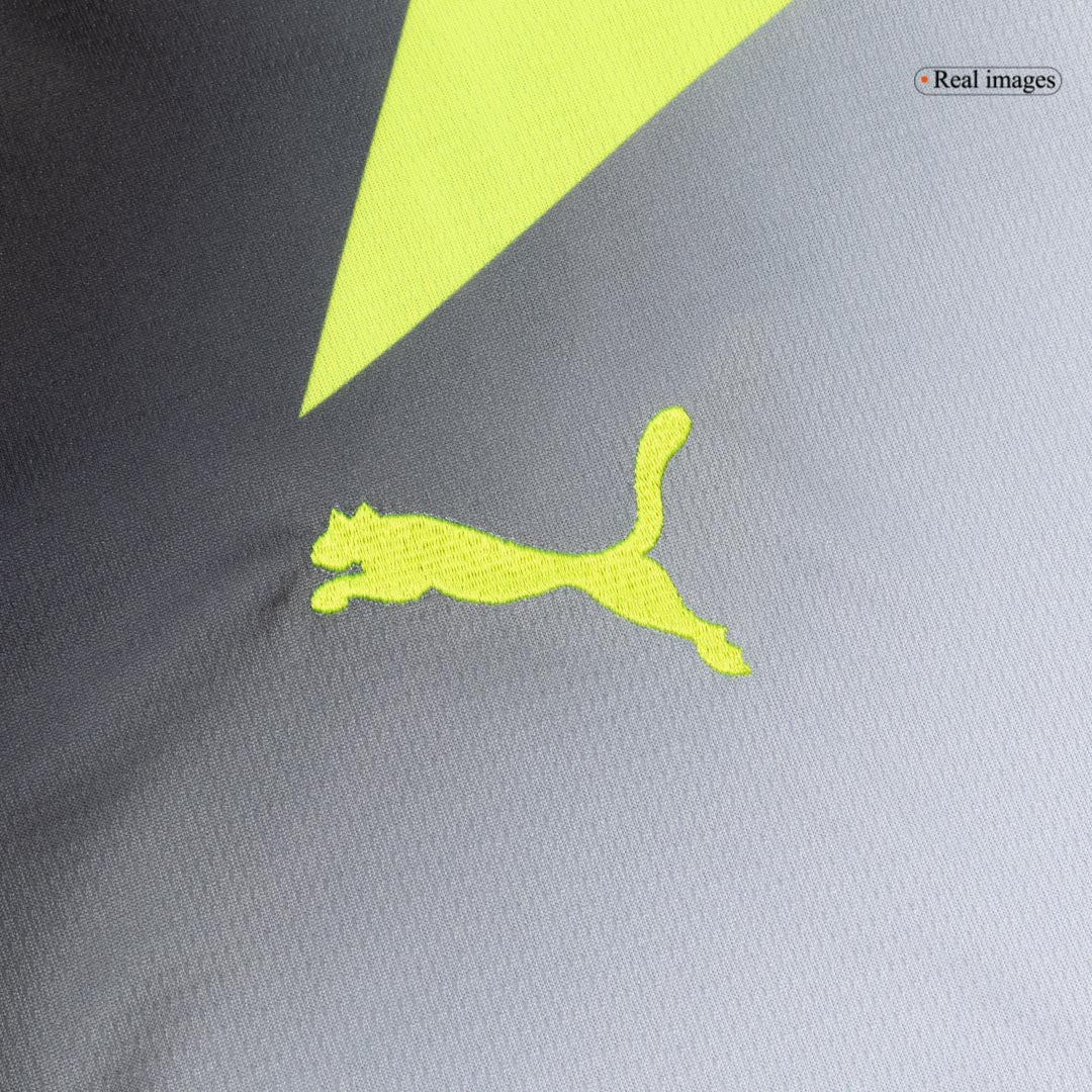 Borussia Dortmund Tröja 2025/26 Borta Grå